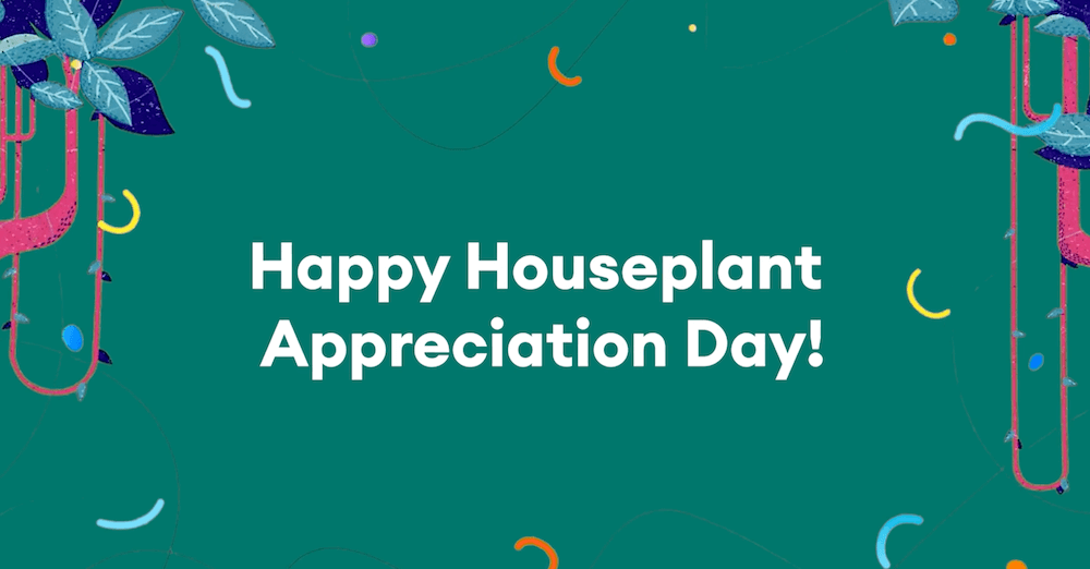Houseplant Appreciation Day
